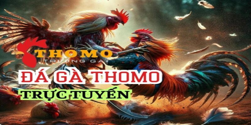 Thành viên có thể xem đấu và lựa chọn trận mình thích để chơi